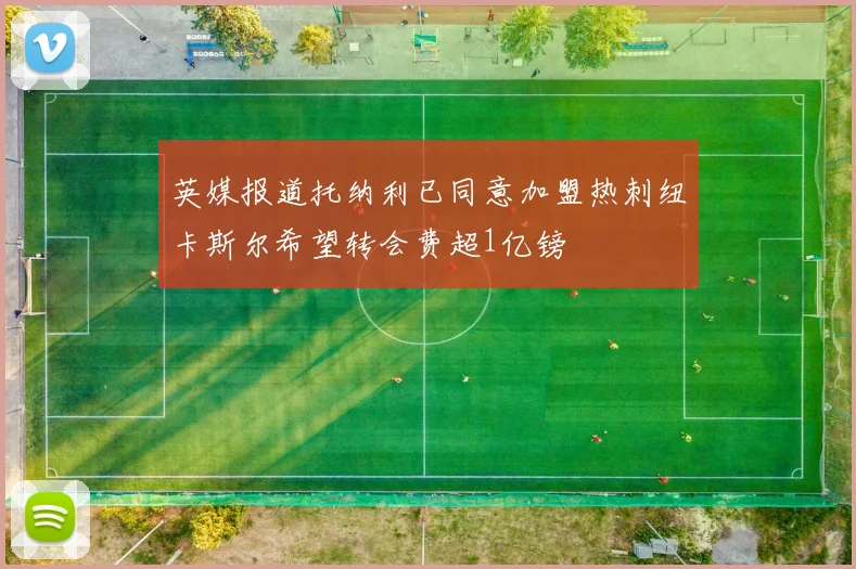 英媒报道托纳利已同意加盟热刺纽卡斯尔希望转会费超1亿镑