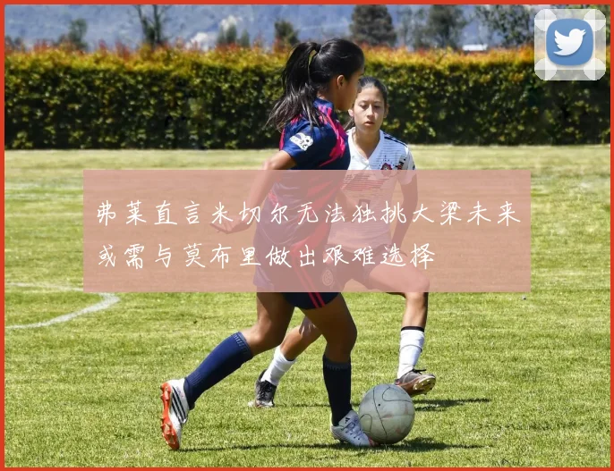 弗莱直言米切尔无法独挑大梁未来或需与莫布里做出艰难选择